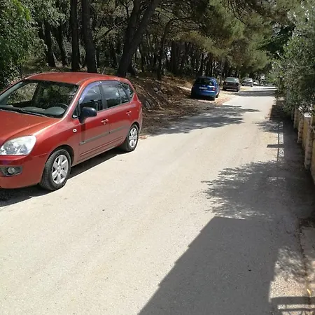 Pineta With Terrace & Park Wood View Appartement