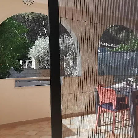 Pineta With Terrace & Park Wood View Appartement