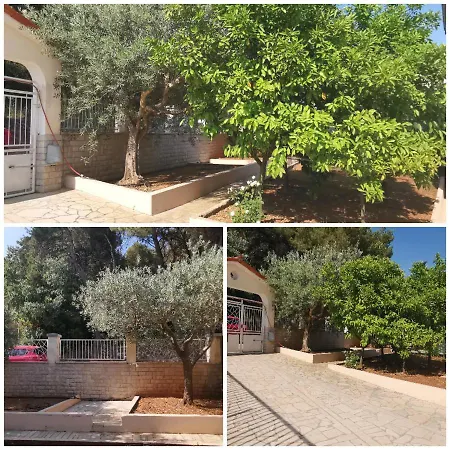 Appartement Pineta With Terrace & Park Wood View